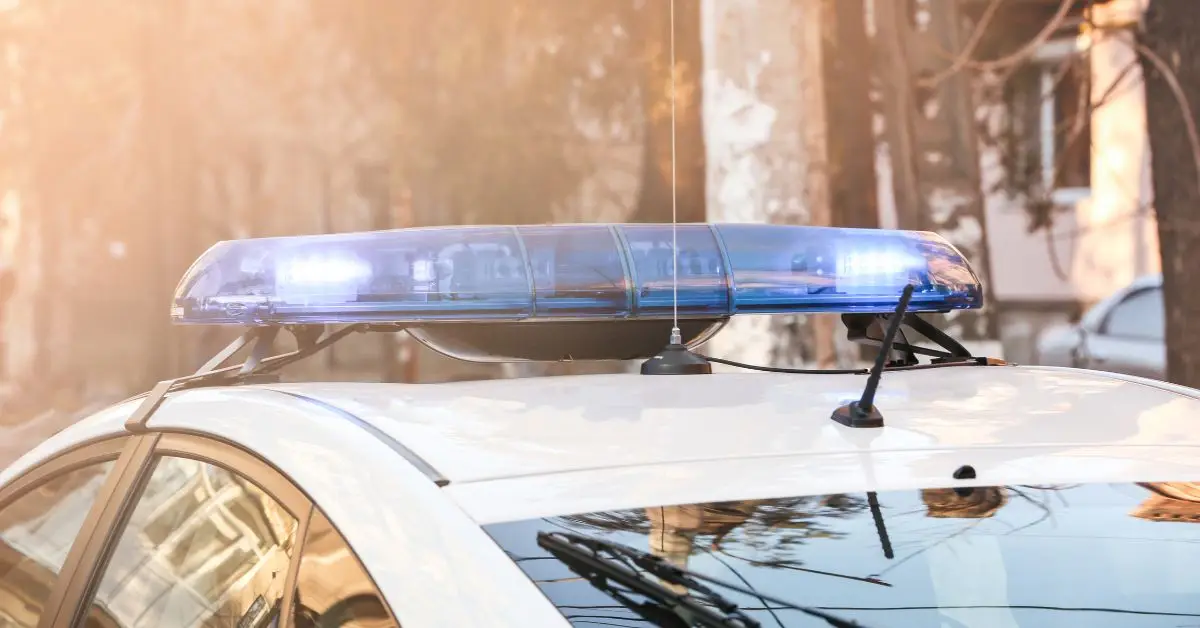 home invasions in Livonia
