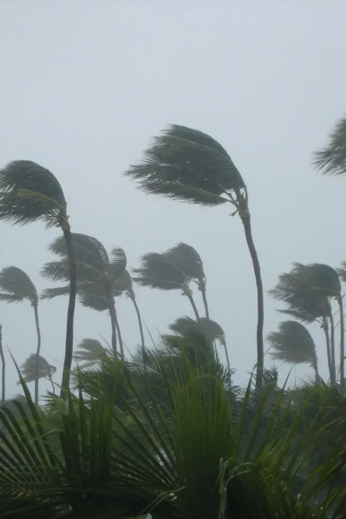 tropical storm arthur houston texas weather