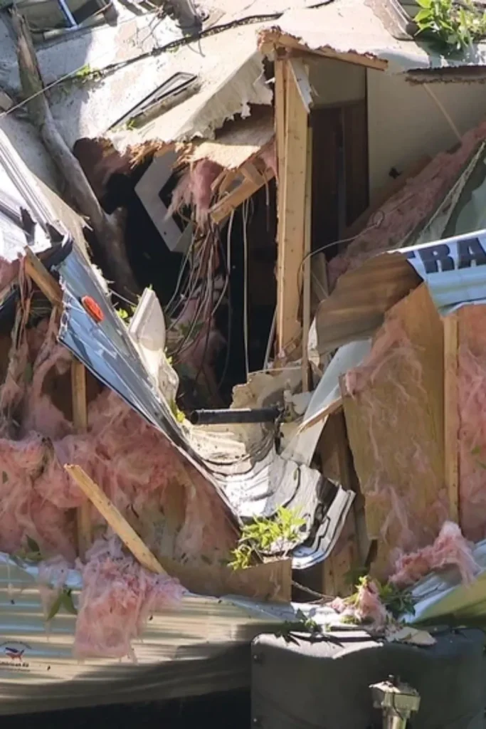 A Tree Crushed Her Michigan Home During the Storm