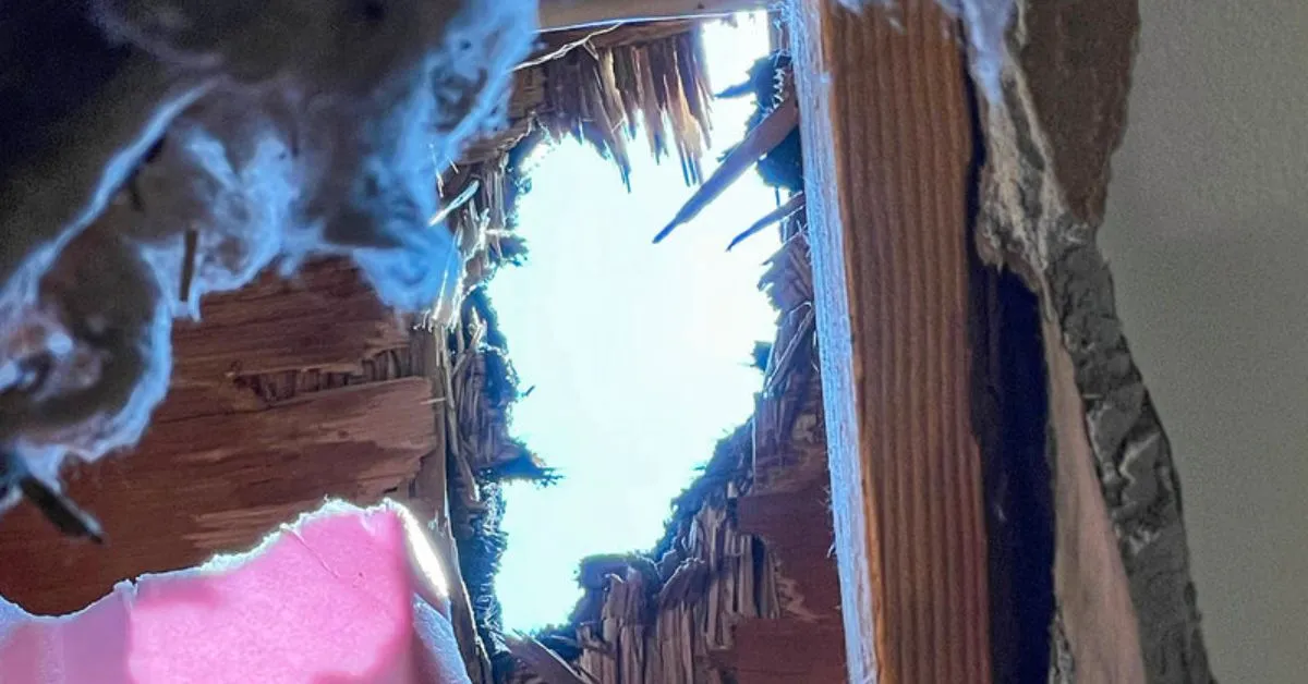 A Space Rock Crashed Through a New Jersey Bedroom