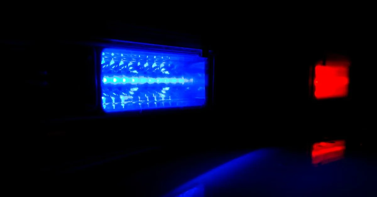 Burglar Hid Under Blankets in a Delaware Basement