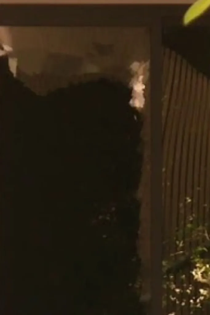Encino Home Burglarized