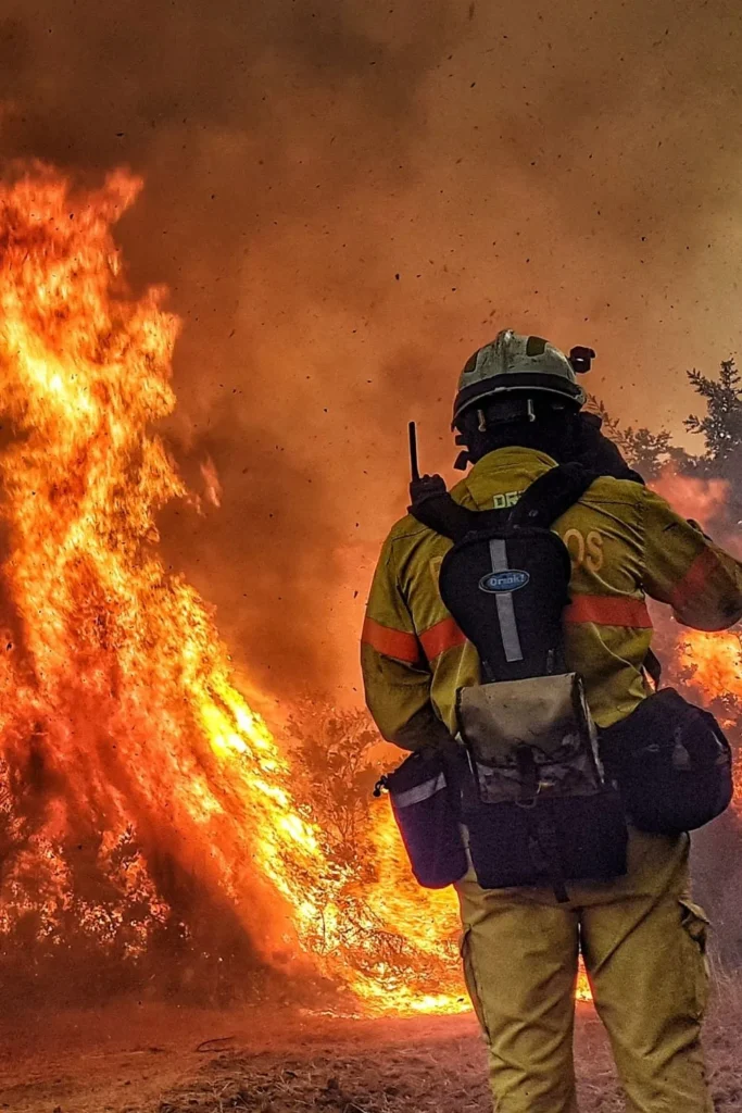 Grandson Burned Down the Ocala Family Home