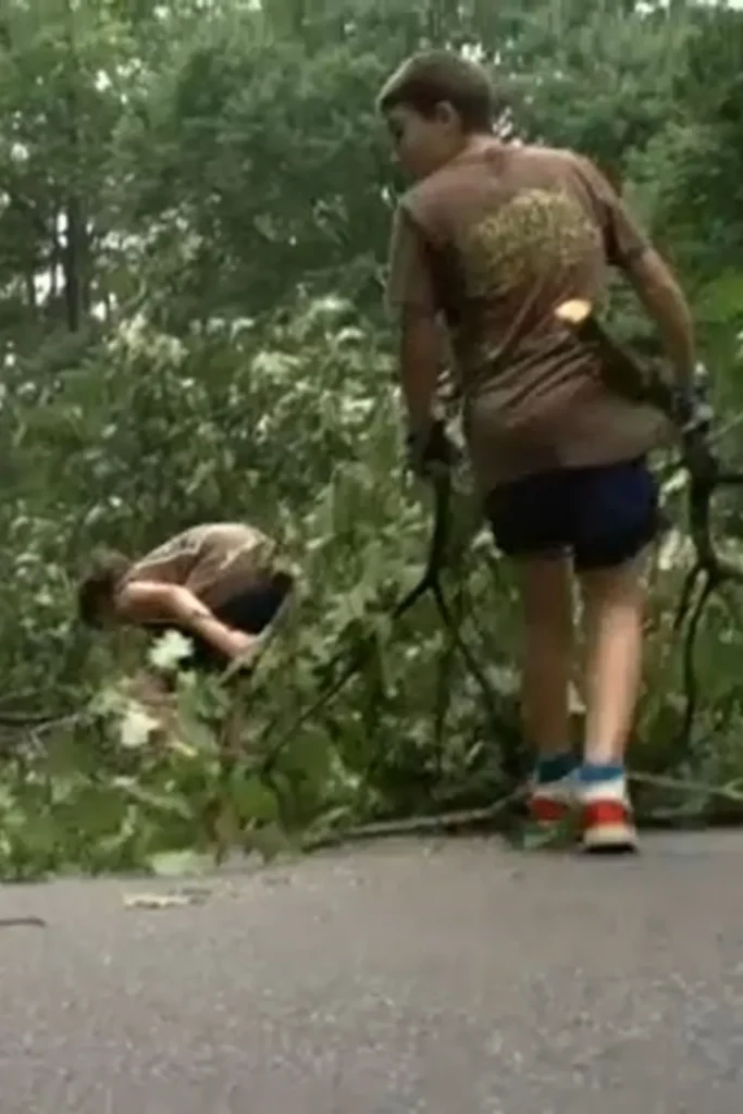 Large Oak Tree Crashes Into Wake County Home