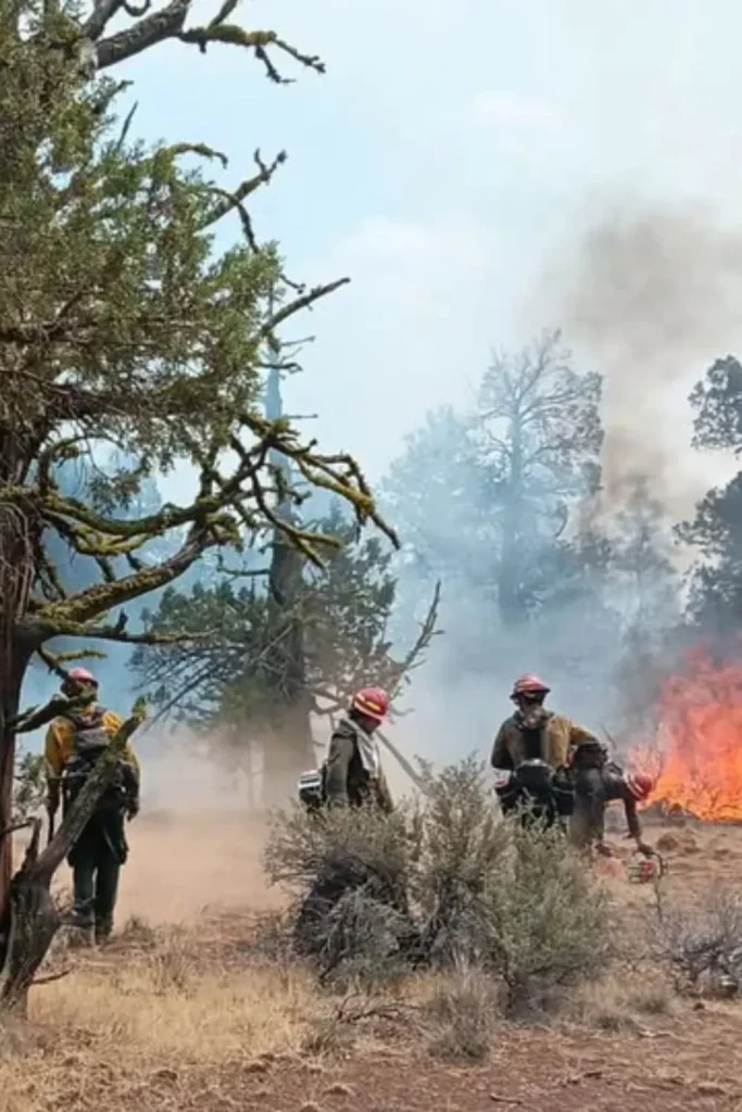 Oregon Wildfire