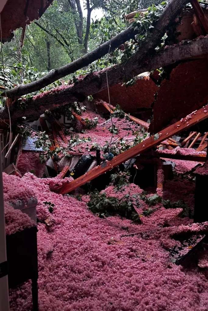 Tree Just Crushed a Huntersville Home