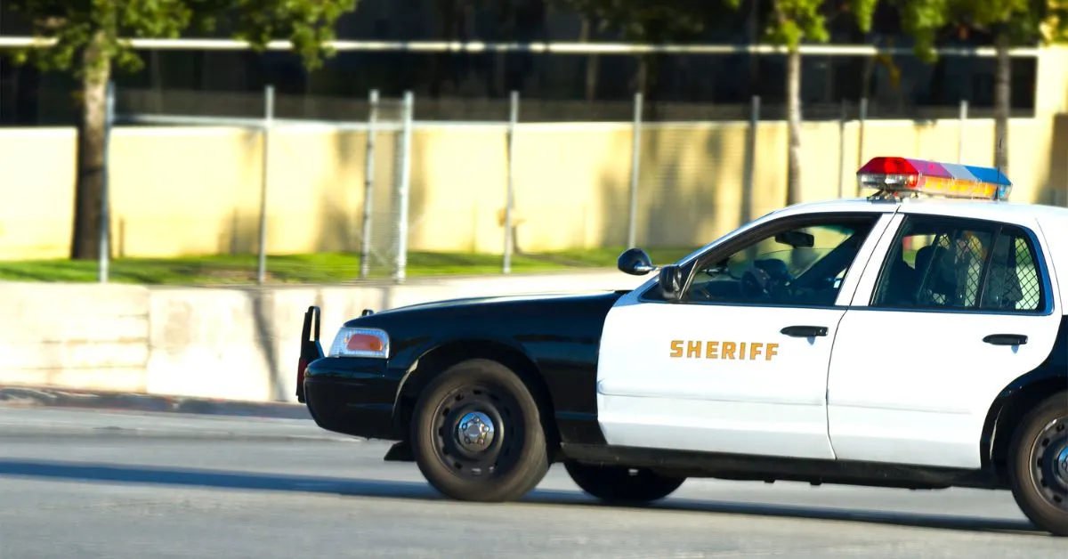 Twin Toddlers in LA Died